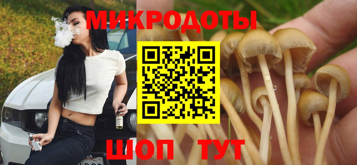 Псилоцибиновые грибы прущие грибы  цена наркотик  Горячий Ключ  Вход с VPN  Псилоцибиновые грибы Cubensis 